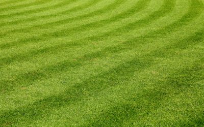 Our Commercial Mowing Services